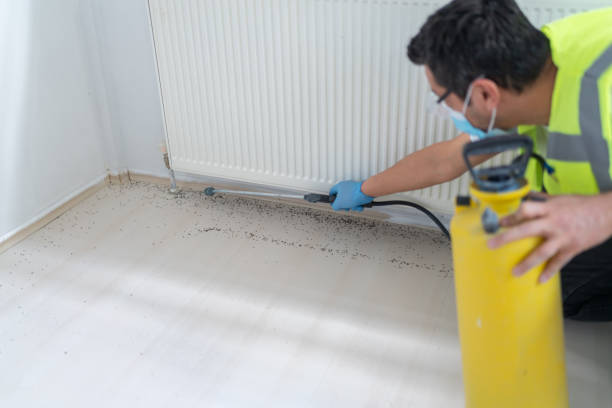 Best Pest Removal Services  in Calcium, NY